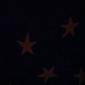 Meet your Posher, Ethan